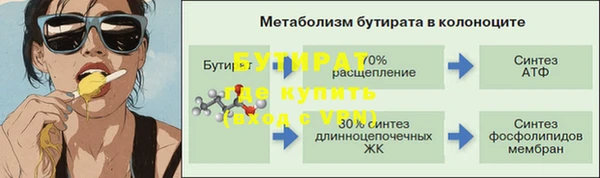 молекула духа Богданович